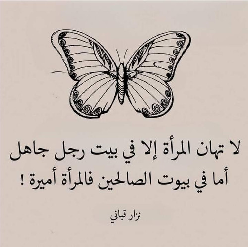 FB IMG 1701493165594.jpg