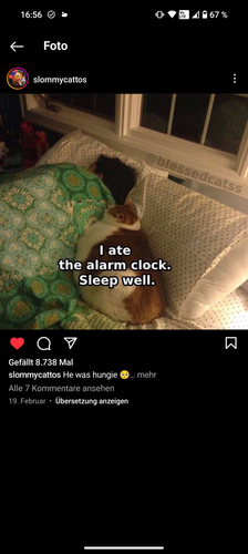 Screenshot 20231202 165650.png