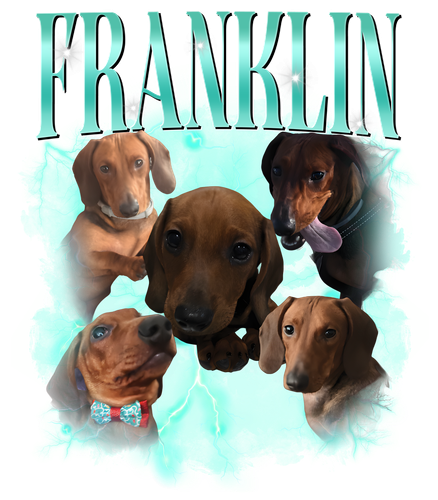kranklin.png