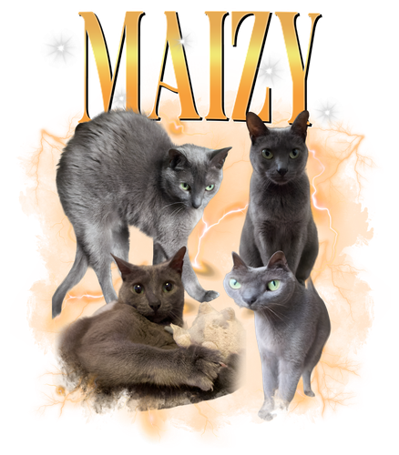 maizy.png