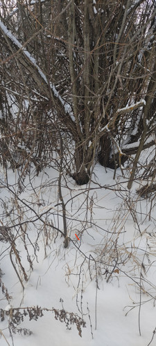 IMG 20231204 141600.jpg