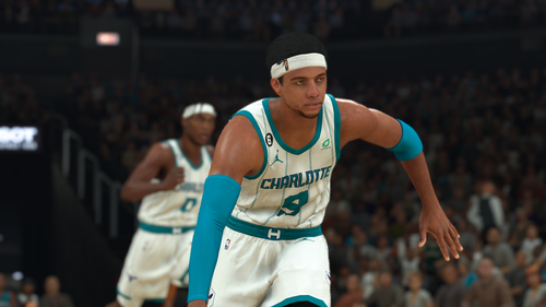 hornets.png