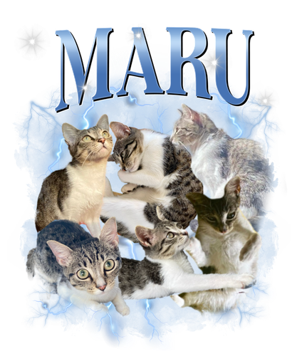 MARU 3118126308.png