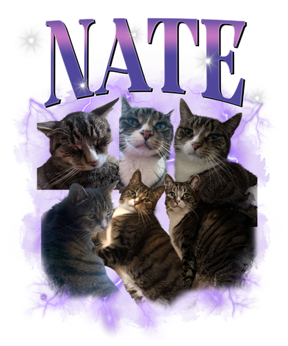 NATE 3109173029.png
