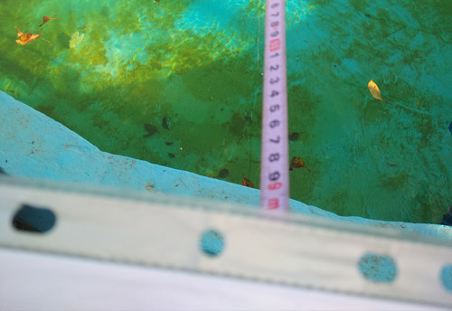 IMG 20231202 181224.jpg