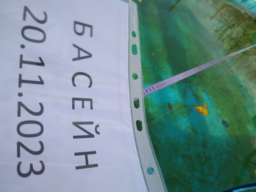 IMG 20231202 151425.jpg