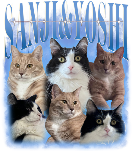 3113369454.png