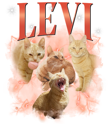 3108634725.png