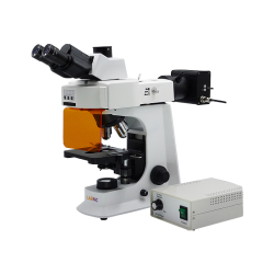 Fluorescence Microsocpe.png