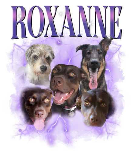 roxanne.png