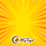 Banner Film.gif