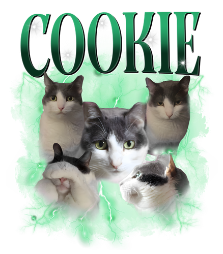 cookie.png