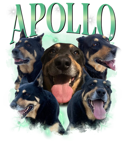 Apollo.png