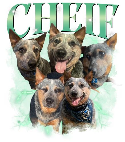 Cheif 7.png
