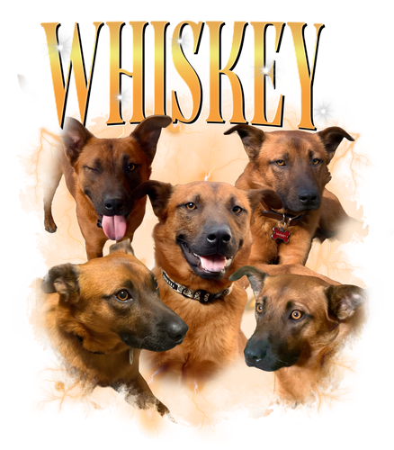 whiskey.png