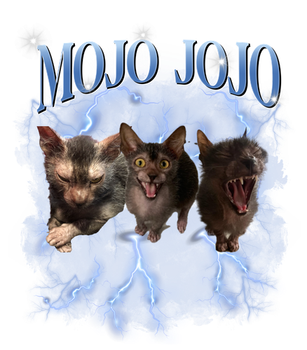 mojo jojo.png