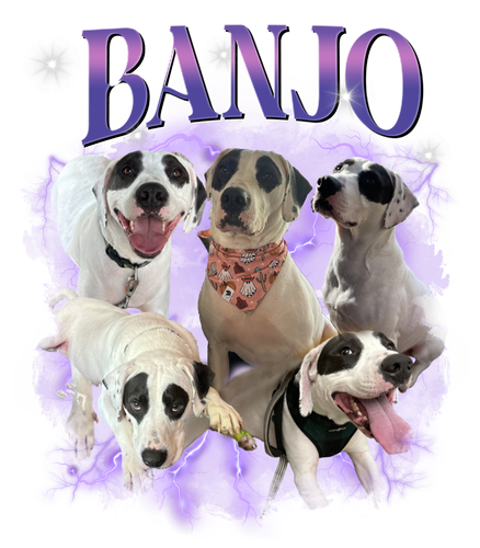banjo.png
