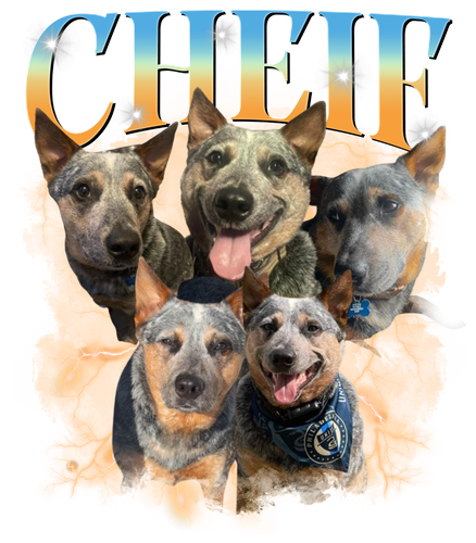 Cheif 11.png