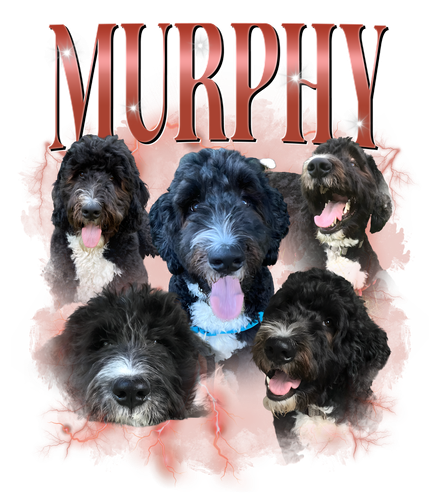mủphy.png