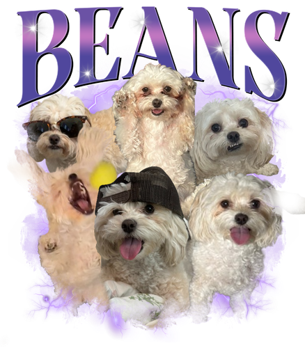 Beans.png