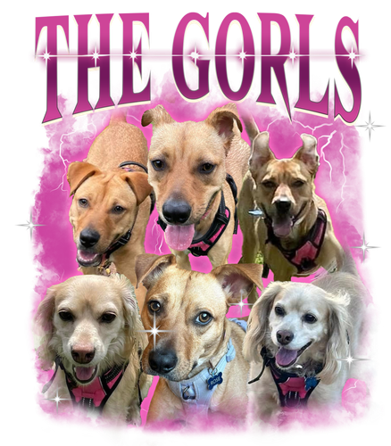 The Gorls.png