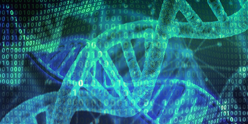 dna 4478127 1280.jpg