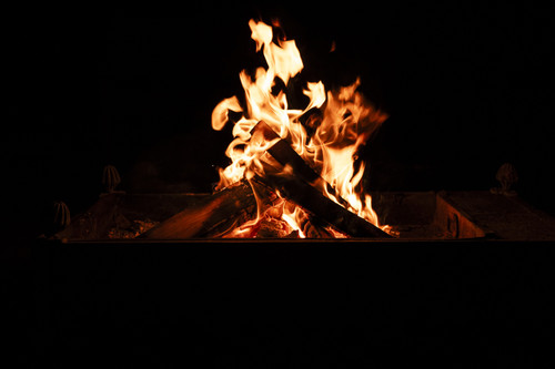  DSC1136.jpg