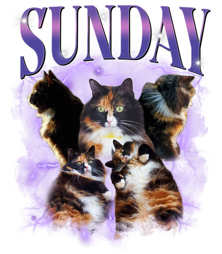 3105650356.png