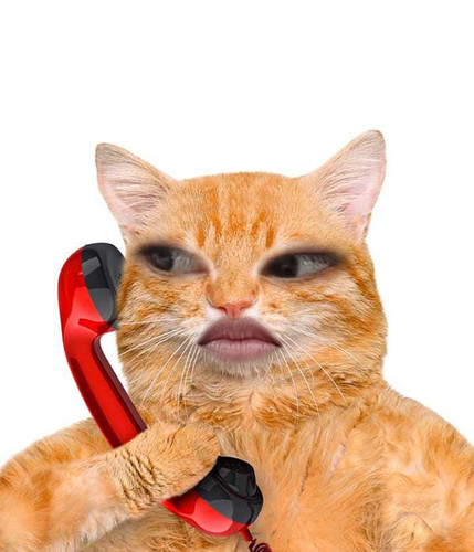 image.jpg