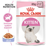 Feline Health Nutrition Kitten Jelly (WET FOOD Pouches)1