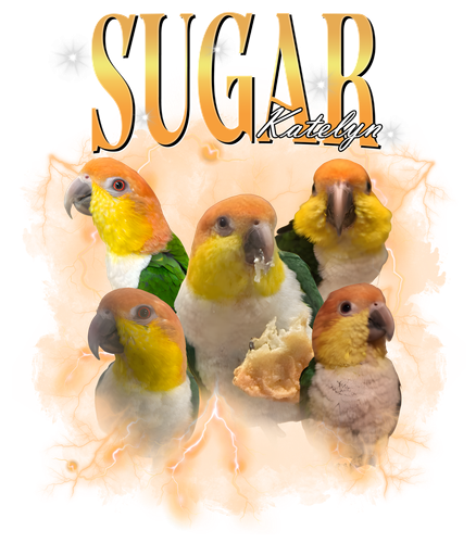 sugar.png