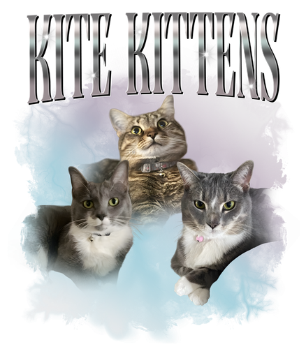 kitte.png