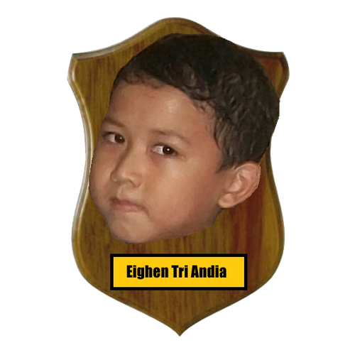 Eighen tri andia head trophy.png