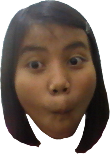 Kepala teteh eni rambut pendek 2012.png