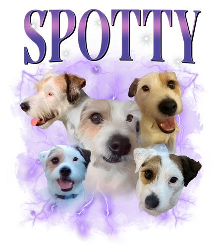 spotty.png