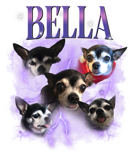 bella1.png
