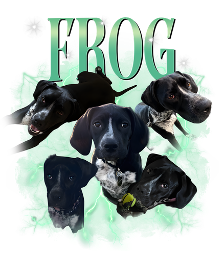 frog.png
