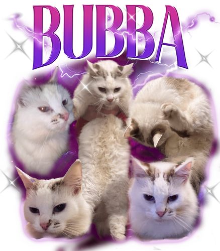 bubba 3108895693.png