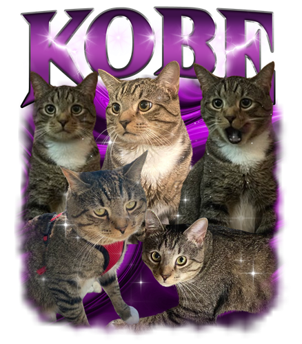 Kobe.png