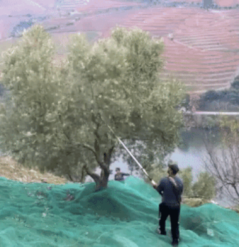 3f4a3dfcb.gif