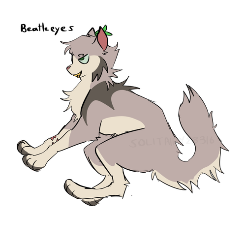 IMG 2116.png