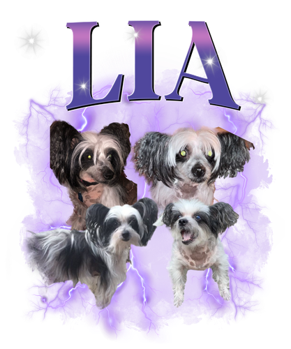 Lia 3109836431.png