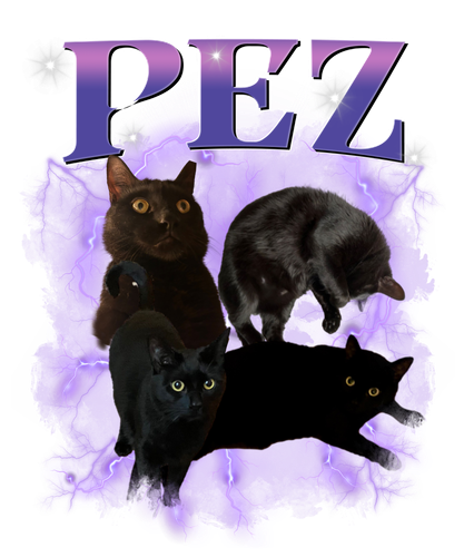PEZ 3109864679.png