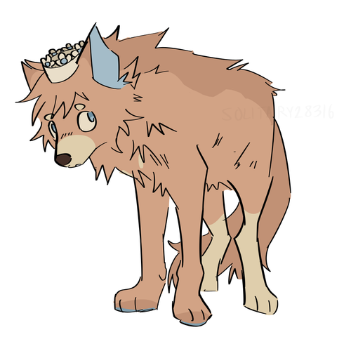 IMG 2117.png