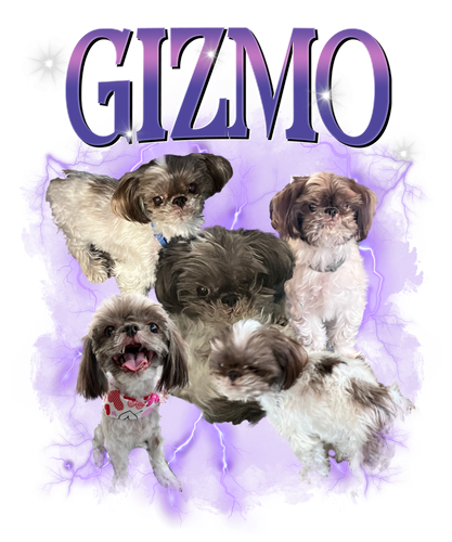 Gizmo 3118402886.png