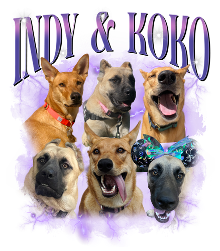 3120862268 Indy & Koko.png