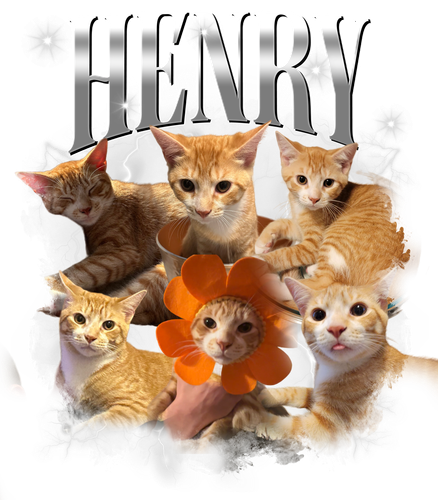Henry + 9 grey + 1.png