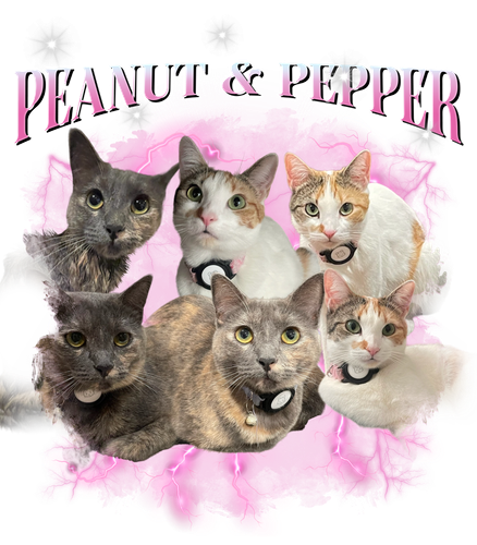 Peanut & Pepper + 10 (pink & white) + 1.png