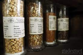 Museum Biologi UGM(5).jpg