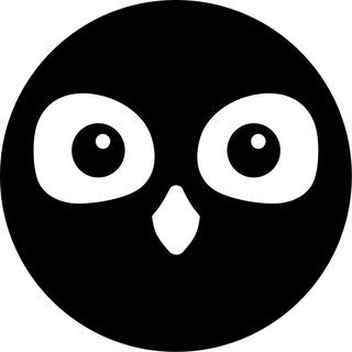 378182211 709346094561683 7668431774607458124 n.jpg